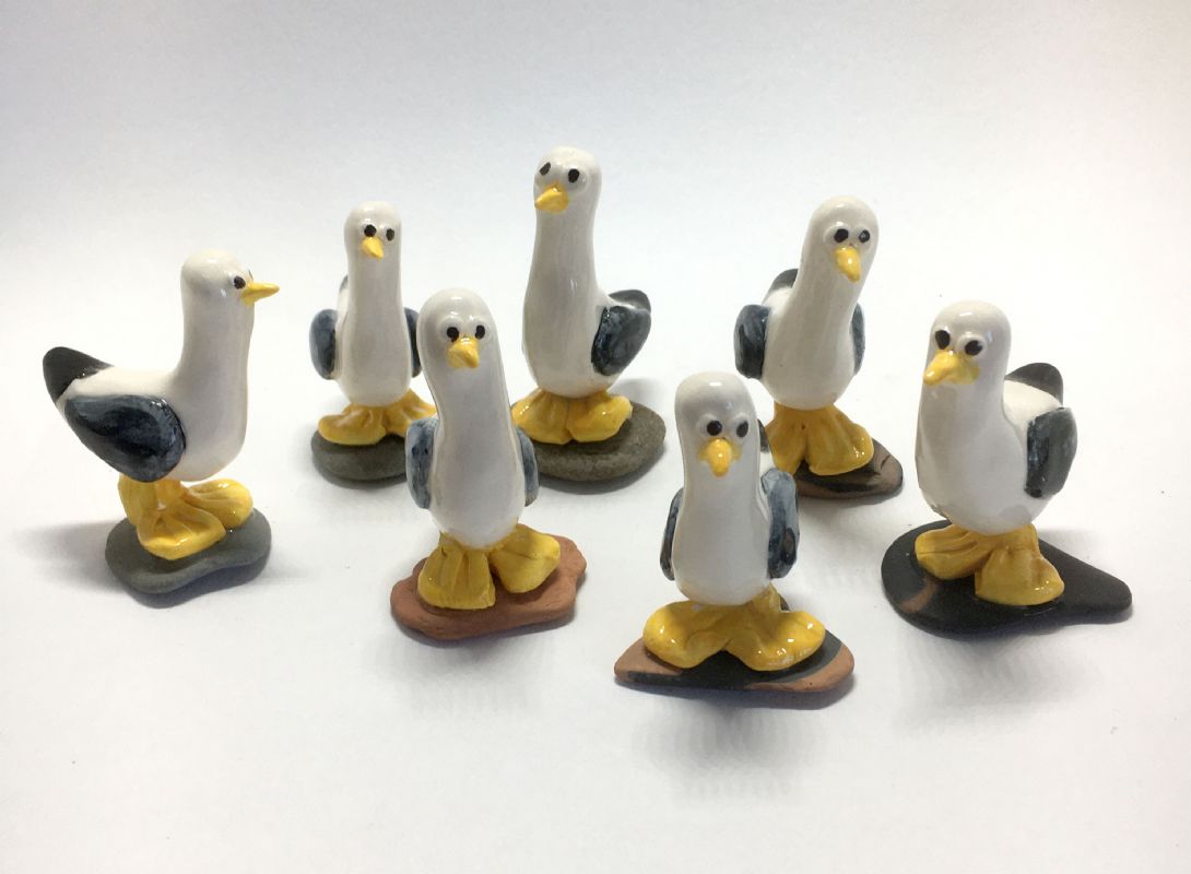 Meg Ashley Gulls